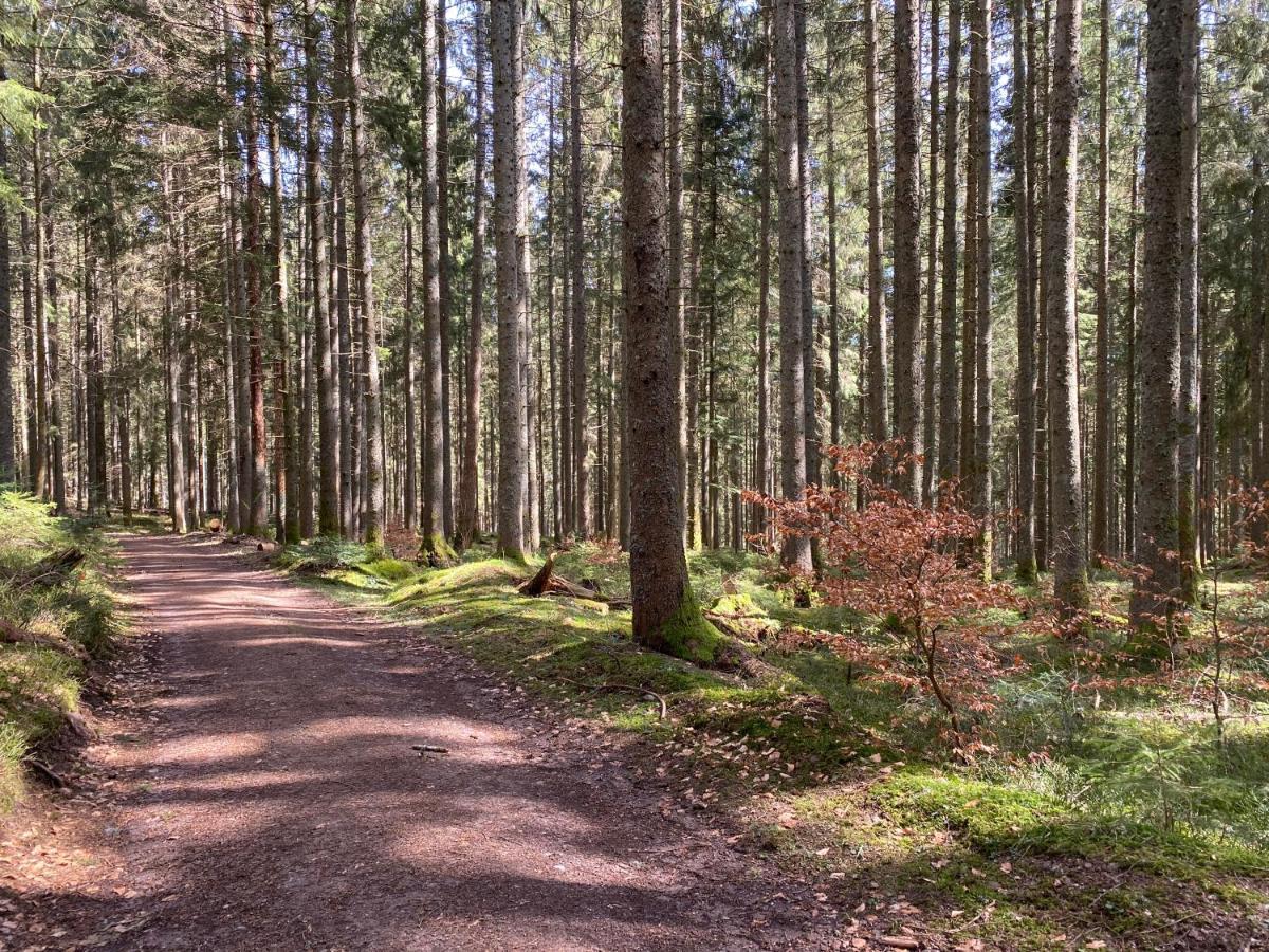 Ferienwohnung Lang - Schoene 3-Zimmer-Wohnung Bonndorf im Schwarzwald Εξωτερικό φωτογραφία